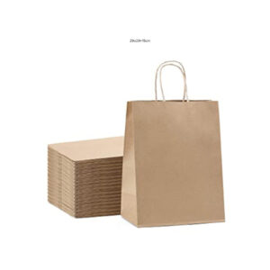 Brown Carry Bag W/H Twisted Handle 29x29+15cm  Plain 100gsm- Medium [250pcs]